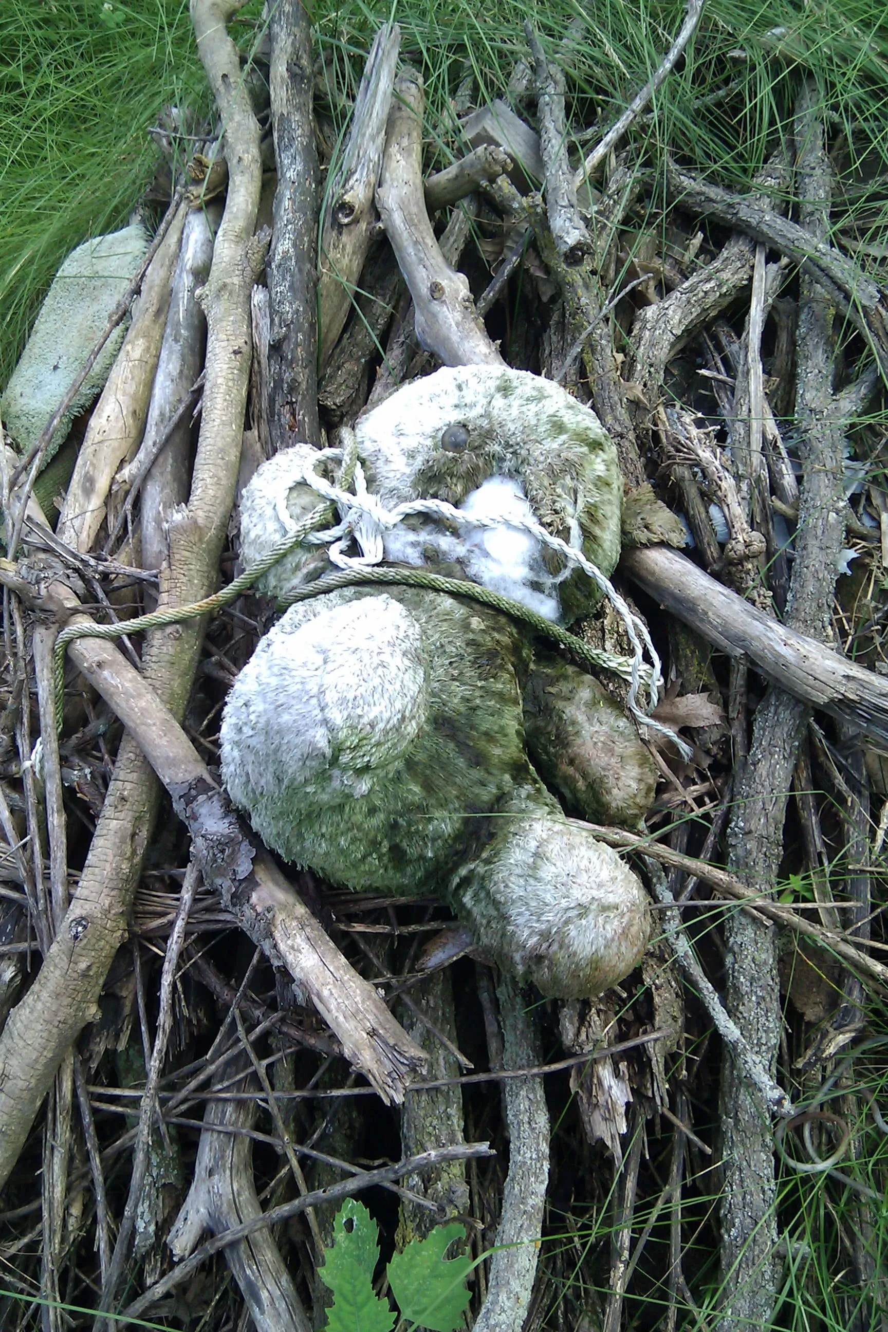 a dirty wet stuffed animal and some rope on top of a pile of parallel sticks