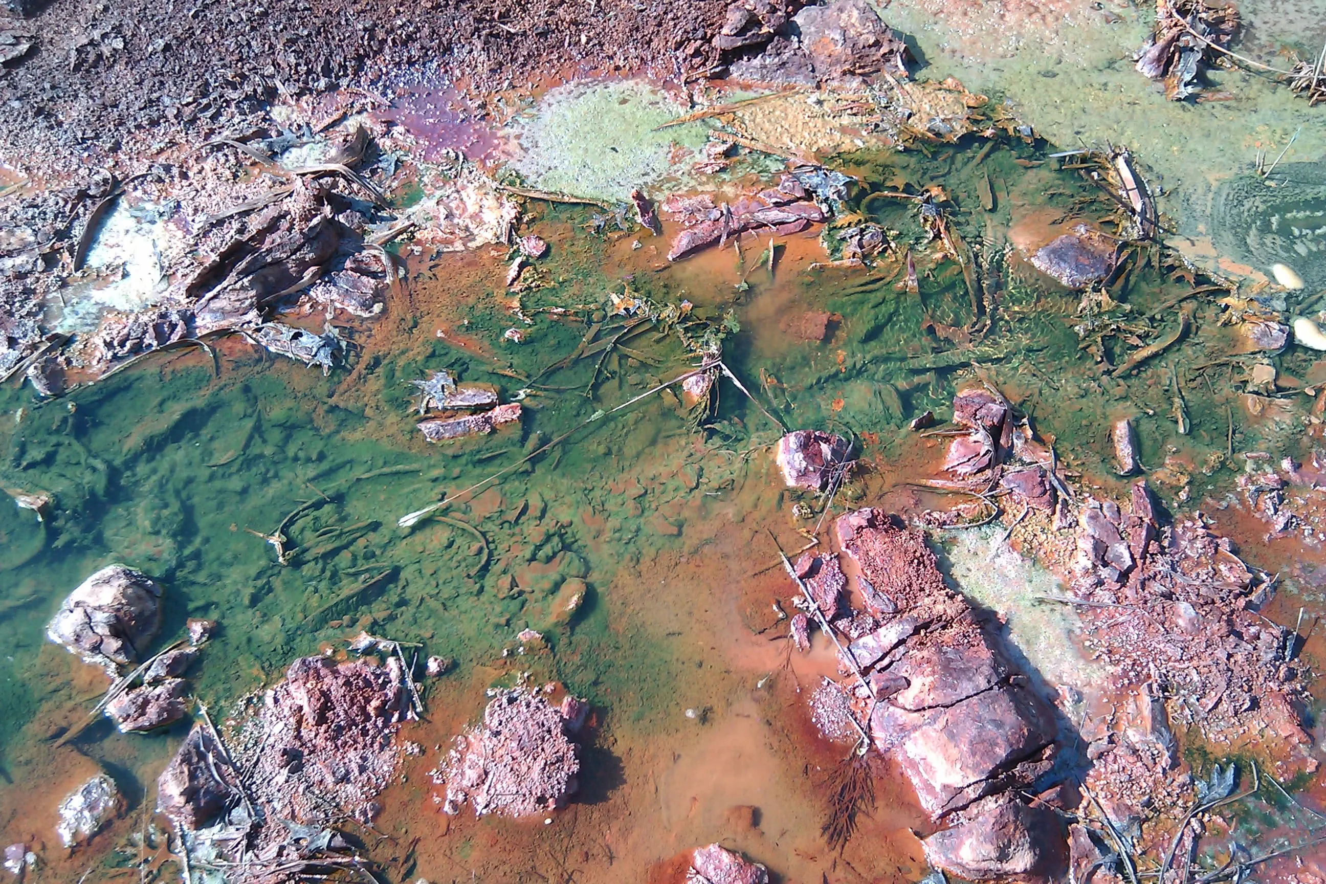 copper and metal leaching