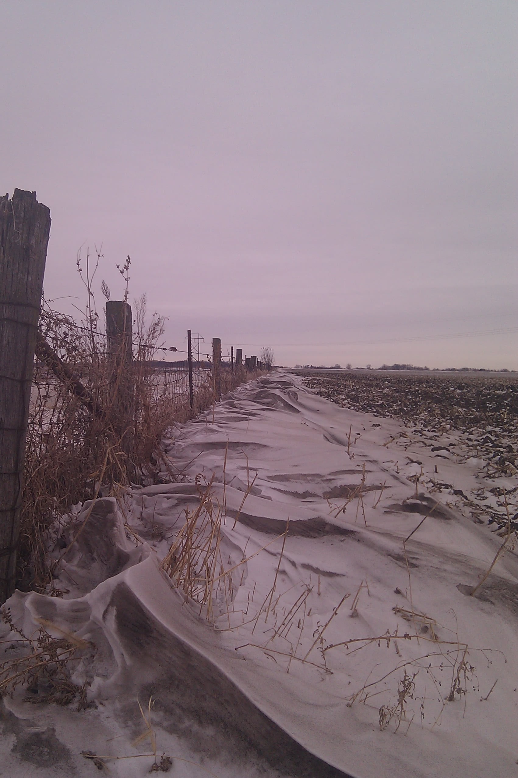 a long fenceline in wintertime along a corn field