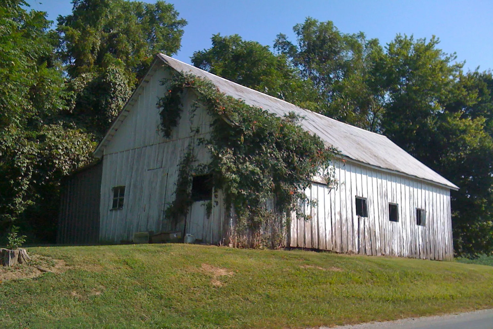 a barn atop a hill with vines growing up the side