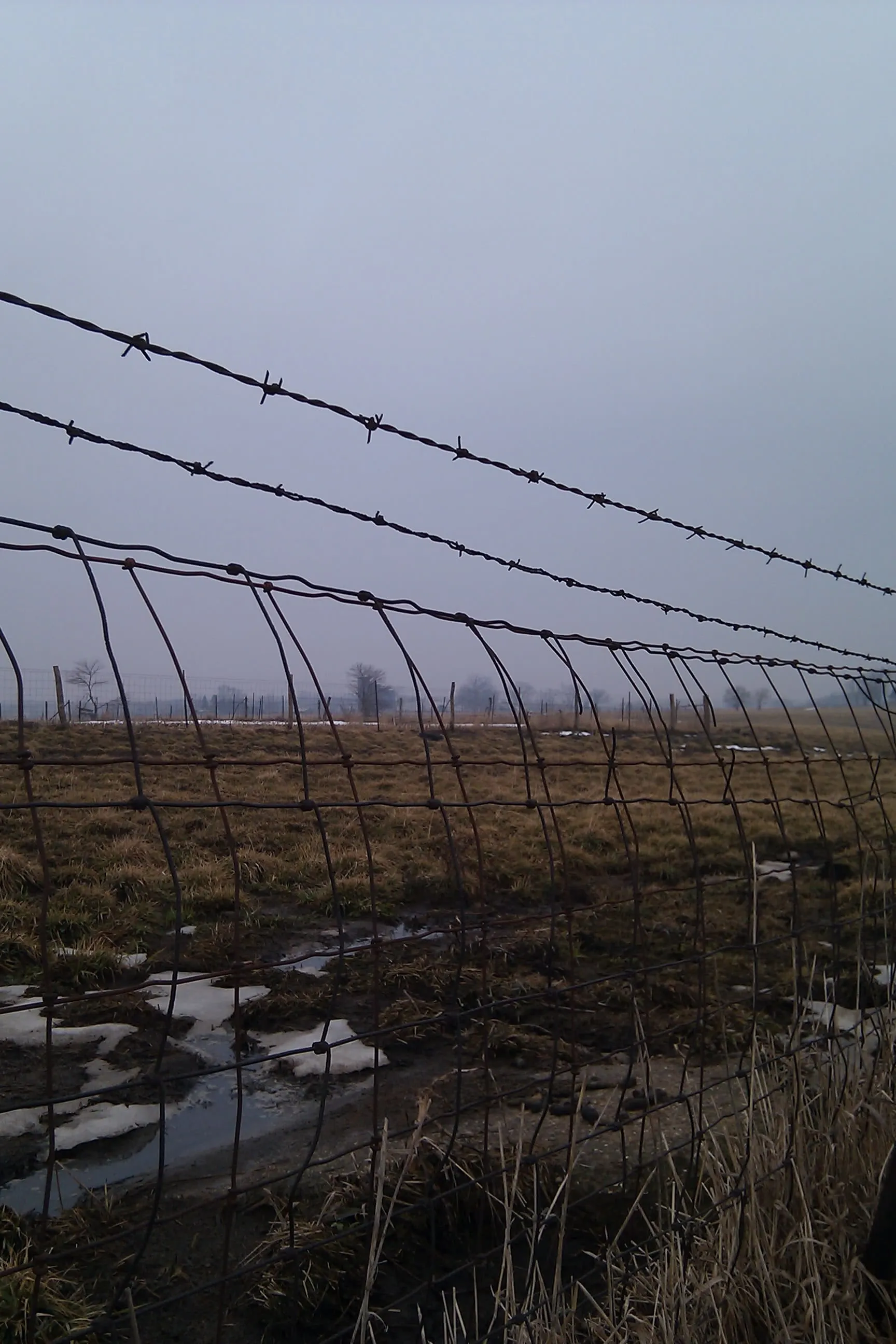 a muddy cornfield in wintertime behind a wire fence