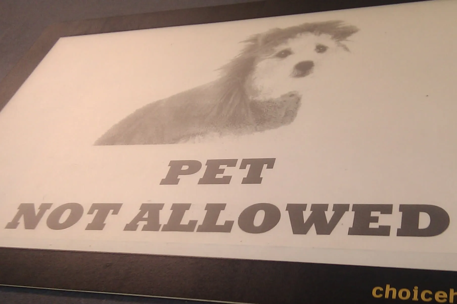 a printed sign of a dog that says 'pet not allowed'